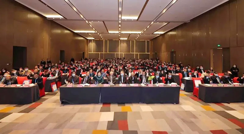 bg视讯官网荣誉｜bg视讯官网锦江荣膺化纤行业十三五“高质量发展领军企业”及“绿色发展示范企业”双荣誉称号